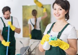 How to start a cleaning business in Delaware