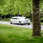 Cost of insurance for a limousine business